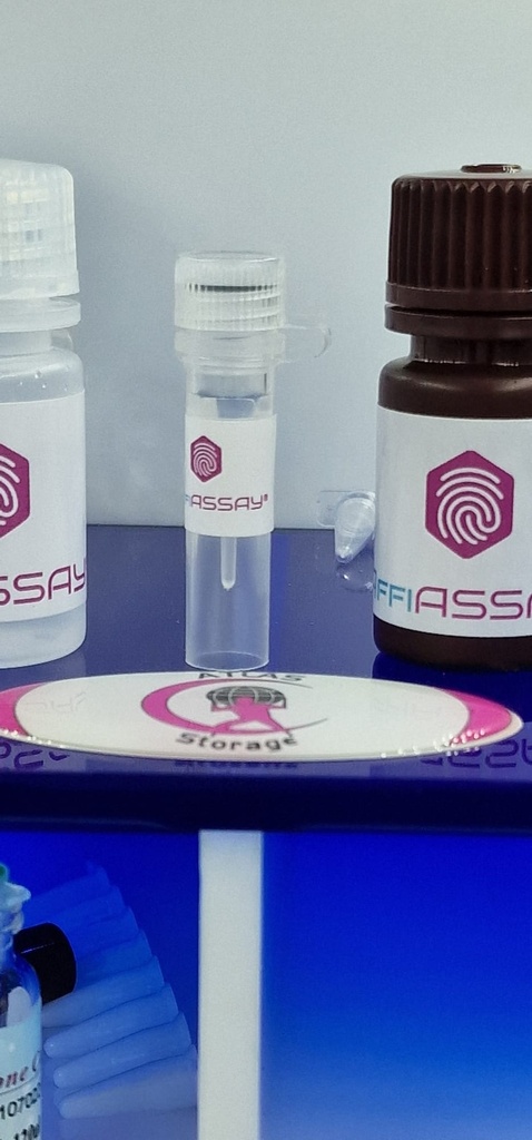 Forget Me Not™ Universal Probe qPCR Master Mix   5x 1 mL ''500 reactions''