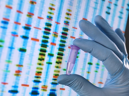 [0568-W108] 1 kb DNA Ladder 2.0 (0.5 kb ~ 10 kb, with loading dye)-100 rxn
